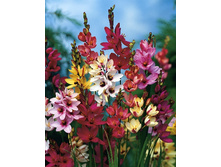 3,79���. ����� �����(���������� ������ ������ ���������� �� 15 ��.).jpg