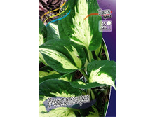 156,3���. ����� ���������(�������� ���� �� 1 ��., ����������� ����� 1��.).jpg