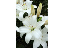 20,59���. ����� ���� ����(��� 7 ��. ���������� �� 2��.)���16.jpg