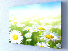 ���������� ��� 1-1.jpg