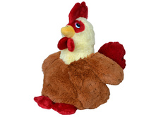 ���������� ������� "���������"  701 ���.