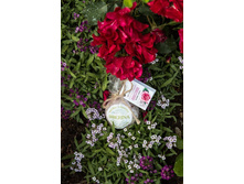 ����������� �������� ��� ����� "����", 72,7