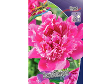 180���. ���� ��������(�������� ���� �� 1 ��., ����������� ����� 1��.).jpg