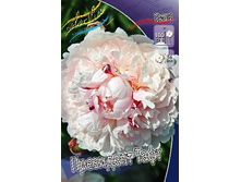 361,7���. ���� ��������� ����(�������� ���� �� 1 ��., ����������� ����� 1��.).jpg