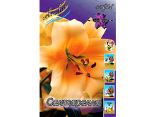 29,37���. ����� ����������(��� 7 ��. ���������� �� 2��.).jpg