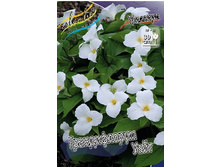 251,1���. �������� ������������ ����(�������� ���� �� 1 ��., ����������� ����� 1��.).jpg