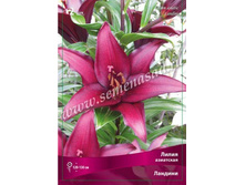 ����� �������.jpg