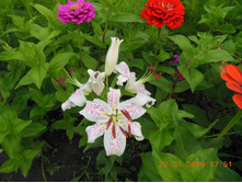 DSCN2127.JPG