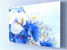 ������ ����� 2 1-1.jpg