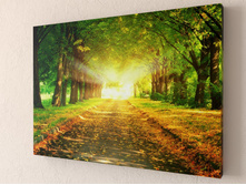 ���������� ������� ���� 1-1.jpg