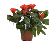 ����������� 12�25. 214,94 ���.jpg