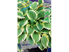 70,25���. ����� ����� ��������(�������� ���� �� 2 ��., ����������� ����� 1��.).jpg