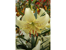 39,96���. ����� ���� ���������(��� 5 ��. ���������� �� 2��.).jpg