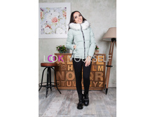 ������ (���.8060) ����-�����.jpg