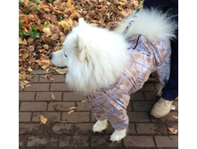 ������ 2.JPG