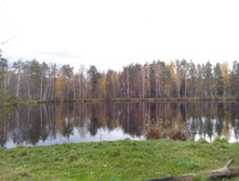 IMG 20161016 145255.jpg