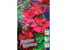 136,6���. �������� �������� ��������(�������� ���� �� 2 ��., ����������� ����� 1��.).jpg