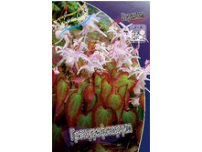 159,5���. ������� ������������(�������� ���� �� 1 ��., ����������� ����� 1��.).jpg