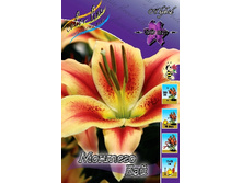 27,34���. ����� ������� ���(��� 7 ��. ���������� �� 2��.).jpg