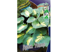 156,3���. ����� ���� �����(�������� ���� �� 1 ��., ����������� ����� 1��.).jpg