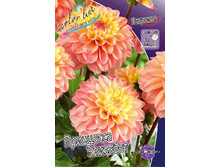 77,6���. �������� ��������� ��������(�������� ���� �� 1 ��., ����������� ����� 1��.).jpg