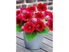 57,27���. ��������� ������(�������� ���� �� 3 ��., ����������� ����� 1��.).jpg