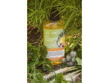 ����������� ������� "��� ����� �����", 286