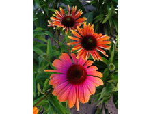 279,5���. �������� ������� ��������(�������� ���� �� 1 ��., ����������� ����� 1��.)���17.jpg