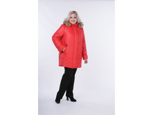 ������� �������.JPG