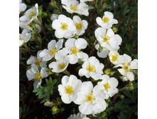 122���. �������� ������������� ���������.jpg