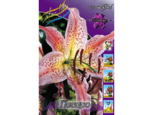 26,5���. ����� ������(��� 7 ��. ���������� �� 2��.).jpg