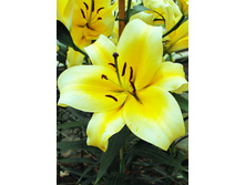 21,6���. ����� ������(��� 7 ��. ���������� �� 2��.).jpg