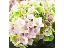 467���. ��������� �������������� �������� �������� ����.jpg