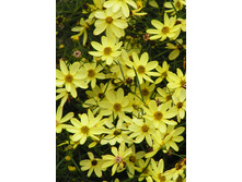 86,05���. ��������� ������(�������� ���� �� 2 ��., ����������� ����� 1��.)���16.jpg