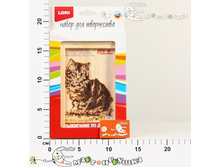 ��-008L 70,34.jpg