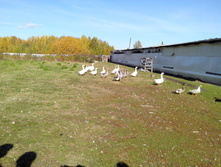 IMG 20161002 120939.jpg