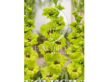 13,2���. ��������� ������(���������� �� ����� �������� �� 7��.)���17.jpg