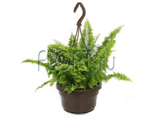 ���������� ������ ��������� 15�30. 408,75 ���.jpg