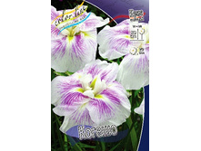 145,3���. ���� ���������� ������(�������� ���� �� 1 ��., ����������� ����� 1��.).jpg