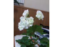 20160914 160830.jpg