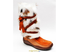 ������ ������ �������