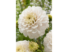 92,1���. �������� ���� ������(�������� ���� �� 1 ��., ����������� ����� 1��.).jpg