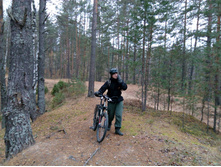 IMG 20161029 074020.jpg