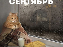 ��������)