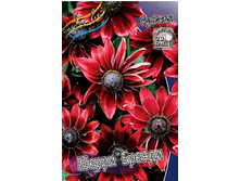 112,1���. �������� ����� ������(�������� ���� �� 1 ��., ����������� ����� 1��.).jpg