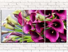 ��������� ����� 3-1.jpg