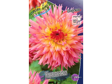 80,1���. �������� ��������(�������� ���� �� 1 ��., ����������� ����� 1��.).jpg