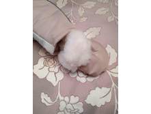 IMG 20161020 161136.jpg