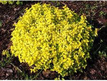 ������ ������ ������-170�.jpg