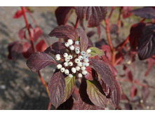 143���. ���� ����� �������� �����.jpeg